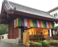 護国寺ほおずき市