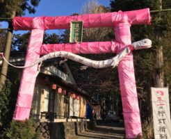星宮神社の行灯鳥居