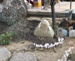 高木神社のむすび石